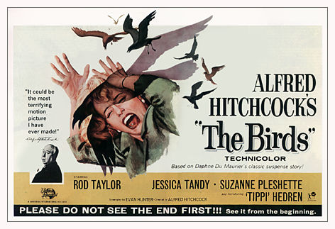 The Birds 1963 Alfred Hitchcock