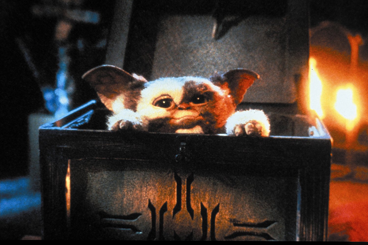 Gremlins (1984) | Qwipster | Movie Reviews Gremlins (1984)